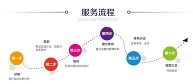 發(fā)酵餅干綠色食品認(rèn)證 臨智略企業(yè)管理的專業(yè)護航